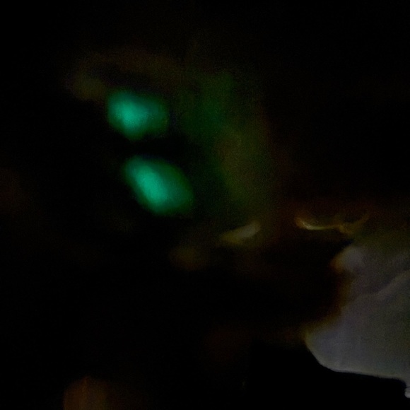 Lady Katie Skull Dial Crystal Watch - Picture 16 of 16